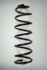 SPIDAN 55243 Coil Spring